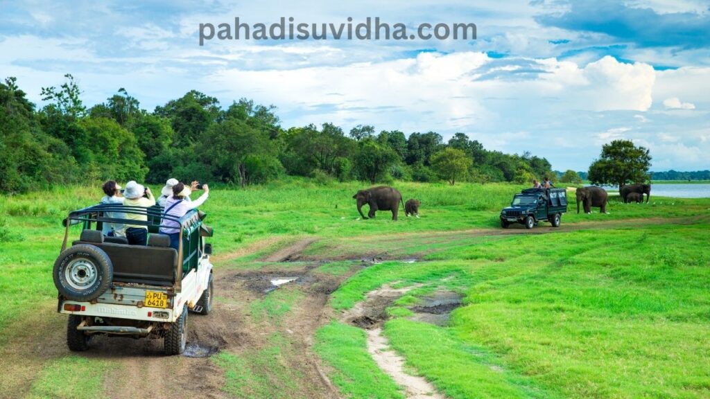 Jim Corbett National Park: Natural Heritage of Uttarakhand