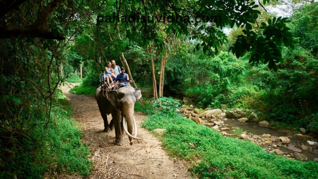 Jim Corbett National Park