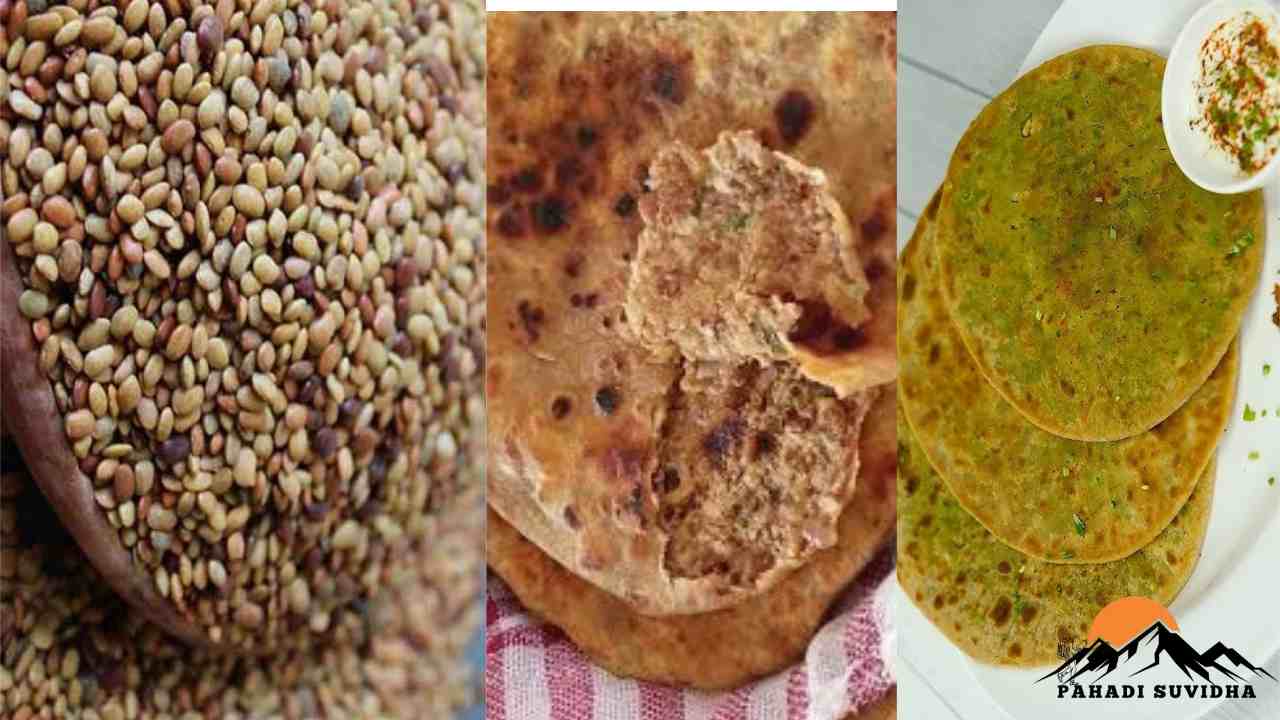 Pahadi Dal Paratha Recipes