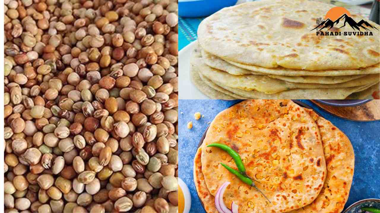 Pahadi Dal Paratha Recipes