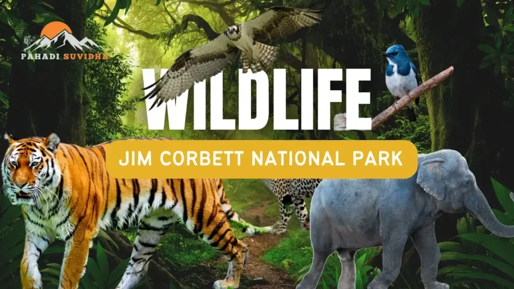 Jim Corbett National Park