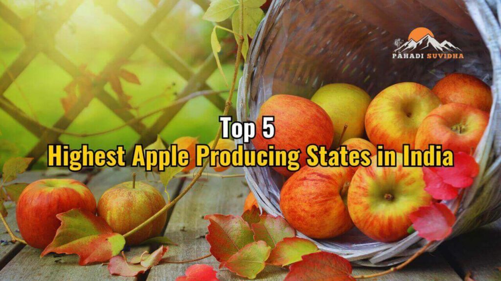 Highest Apple Producing States in India