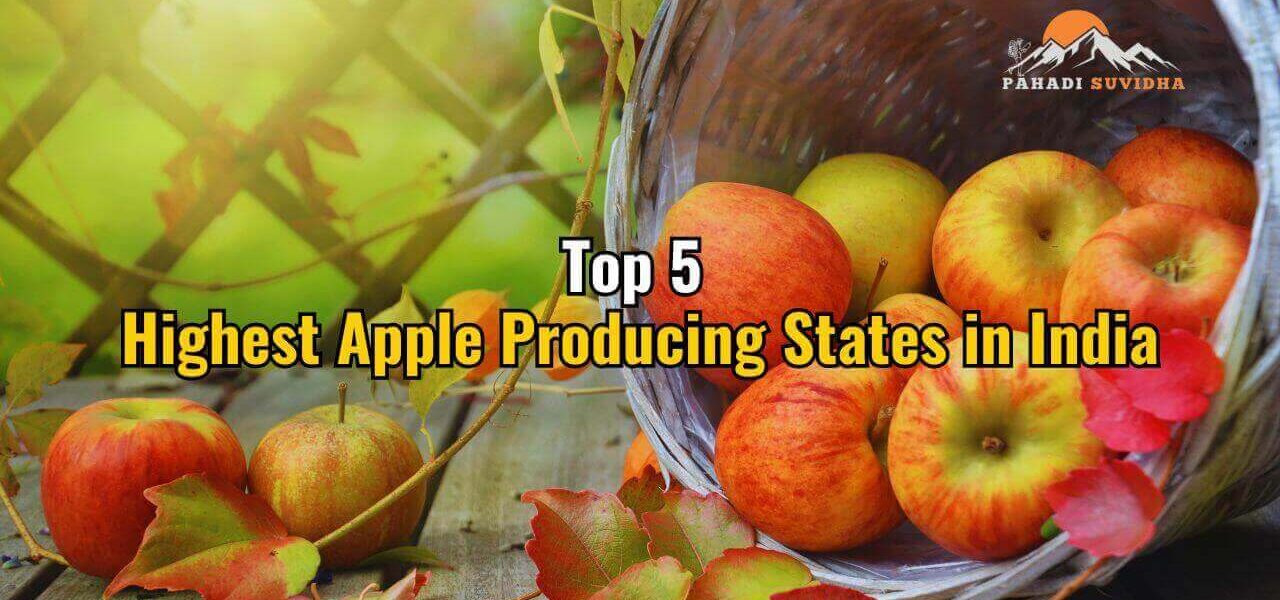 Highest Apple Producing States in India